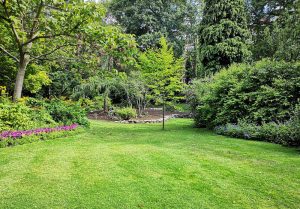 Optimiser l'expérience du jardin à Escombres-et-le-Chesnois